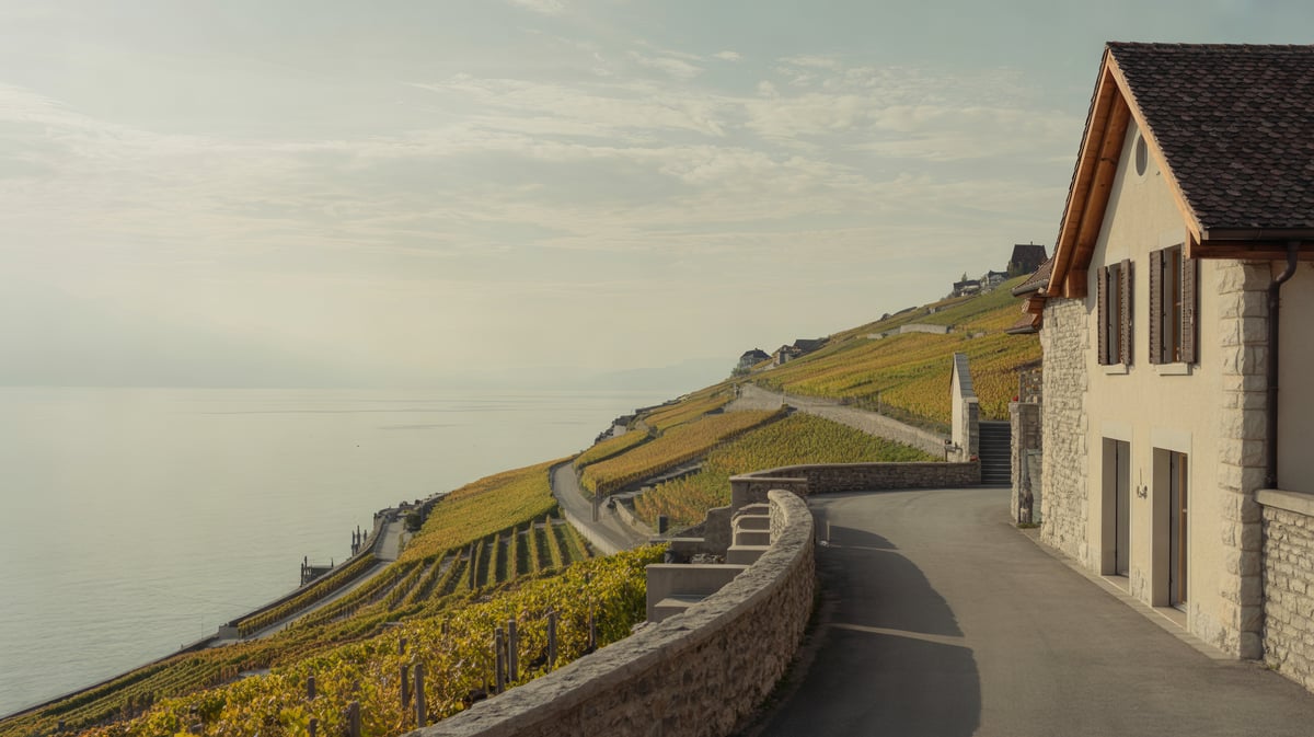 Terrazze del Lavaux sopra il lago Lemano